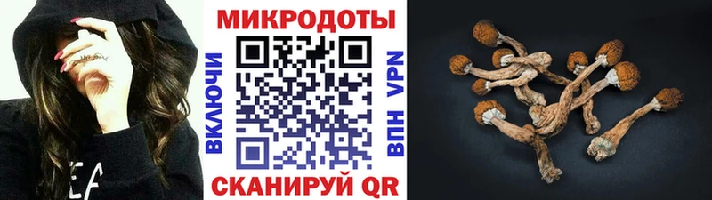 Галлюциногенные грибы GOLDEN TEACHER  купить закладку  Евпатория 